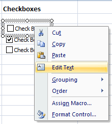 Excel edit checkbox caption