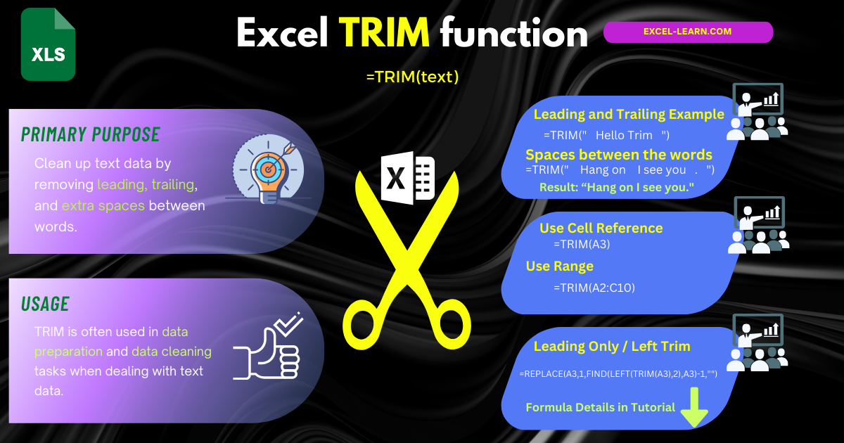 Infographic: Excel TRIM Function Tutorial - Learn the Art of Removing Extra Spaces from Text Data