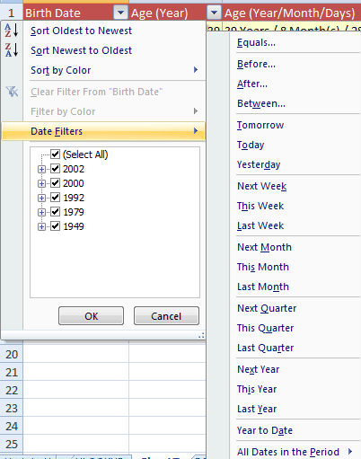 Excel date filter